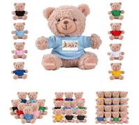 DRAJOIN 6 a 18 Pezzi Orsacchiotti Personalizzati in Bulk Con Foto Testo, Bulk Teddy Bears Piccoli Orsacchiotti di Peluche Come Regali di San Valentino e Natale Per La Classe, 11cm