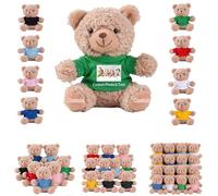 DRAJOIN 6 a 18 Pezzi Orsacchiotti Personalizzati in Bulk Con Foto Testo, Bulk Teddy Bears Piccoli Orsacchiotti di Peluche Come Regali di San Valentino e Natale Per La Classe, 11cm
