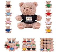 DRAJOIN 6 a 18 Pezzi Orsacchiotti Personalizzati in Bulk Con Foto Testo, Bulk Teddy Bears Piccoli Orsacchiotti di Peluche Come Regali di San Valentino e Natale Per La Classe, 11cm