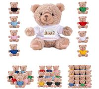 DRAJOIN 6 a 18 Pezzi Orsacchiotti Personalizzati in Bulk Con Foto Testo, Bulk Teddy Bears Piccoli Orsacchiotti di Peluche Come Regali di San Valentino e Natale Per La Classe, 11cm