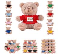 DRAJOIN 6 a 18 Pezzi Orsacchiotti Personalizzati in Bulk Con Foto Testo, Bulk Teddy Bears Piccoli Orsacchiotti di Peluche Come Regali di San Valentino e Natale Per La Classe, 11cm
