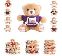 DRAJOIN 6 a 18 Pezzi Orsetti Personalizzati in Blocco Con Foto Testo, Small Teddy Bears Bulk Peluche Personalizzati Per Regali di San Valentino o Per Team a Natale, 12cm