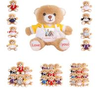 DRAJOIN 6 a 18 Pezzi Orsetti Personalizzati in Blocco Con Foto Testo, Small Teddy Bears Bulk Peluche Personalizzati Per Regali di San Valentino o Per Team a Natale, 12cm