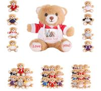 DRAJOIN 6 a 18 Pezzi Orsetti Personalizzati in Blocco Con Foto Testo, Small Teddy Bears Bulk Peluche Personalizzati Per Regali di San Valentino o Per Team a Natale, 12cm