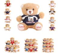 DRAJOIN 6 a 18 Pezzi Orsetti Personalizzati in Blocco Con Foto Testo, Small Teddy Bears Bulk Peluche Personalizzati Per Regali di San Valentino o Per Team a Natale, 12cm