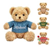 DRAJOIN Orso Personalizzato Con Nome Ricamato E Maglia A Maglia Su Misura | 25cm, Orso Peluche Morbido Con Vari Modelli Disponibili, Stampa Colore Stabile Per Bambini Coniugi Natale Festa Del Bambino