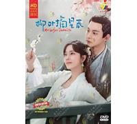 Dramma cinese: My Wife's Double Life 柳叶摘星辰 DVD [English Sub]