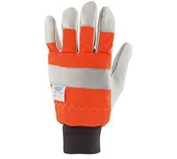 Draper 18015 - Guanti per motosega, multicolore, taglia 10