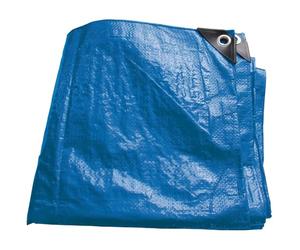 Draper 82656 - Telone Cerato Specialistico 4 x 6 m, Resistente, in polietilene