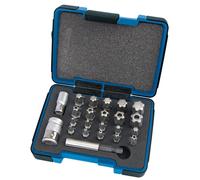 Draper Expert 23241 1/4, 1cm Quadro Dr. Torx a Stella più Bit Set (23 Pezzi)