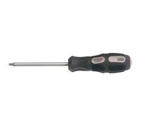 Draper Expert 40053 Draper TX-STAR Driver T25 X 100Mm Lungo
