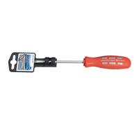 Draper Expert 55495 5mm X 100 MM Tinta Unita Slot Parallele Punta Meccanico