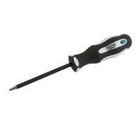 Draper Expert 75365 Quadrato Incavo S1 X 100mm Impugnatura Morbida Sicurezza