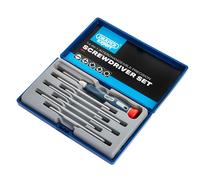 Draper Reversibile Precisione Screwdriver Set 14 IN 1 Doppio Ended Lame 78925