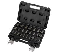 Draper Set Estrattore Di Bulloni Imperial 3/8"D 25 Pezzi Viti Prigionieri 28196