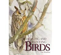 Drawing and Painting Birds by Wootton, Tim