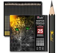 Drawlish Matite da disegno per artisti, 25 gradi (da 14B a 10H), set di matite per schizzi che coprono tutti i gradi - Matita in grafite con legno di prima qualità - Matita artistica ideale per