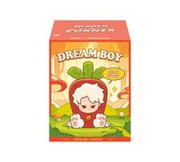DREAM BOY Figura Misteriosa Da Collezione In Scatola Blind