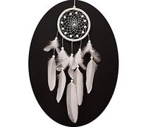 Dream Catcher, Feather Handmade Cattura la Rete da Sogni, Storie in Mitologia Indiana Americana per la Decorazione Appesa Craft Gift