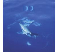 Dream Dolphin - 12 Do hins Leave The Planet-Best of