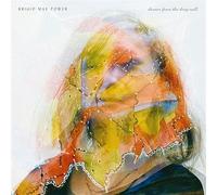 Dream From The Deep Well - Brigid Mae Power (Audio cd)