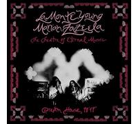 La Monte Young & Marian Zazeela Dream House 78' 17" (Vinyl LP) 12" Album