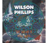 DREAM IS STILL ALIVE 7" (VINYL 45) UK SBK 1991
