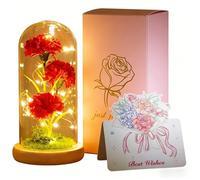Dream Loom Occhiello artificiale in una cupola trasparente per la mamma, regalo di compleanno, garofano eterno con luce LED per decorazione della tavola, regalo di inaugurazione per le donne