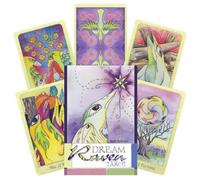 Dream Raven Tarocchi Carte Mazzo Libro Set Beth Seilonen Schiffer Publishing