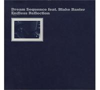 Dream Sequence (Blake Baxter) - Endless Reflection