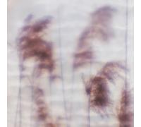 Dream Sequence EP - 12"