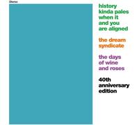 Dream Syndicate – The Days of Wine and Roses – CD