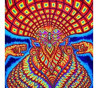 Dream Syndicate - The Universe Inside