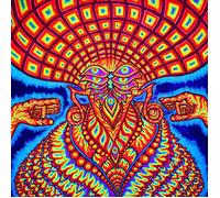 Dream Syndicate Universe Inside (Vinyl LP) 12" Album