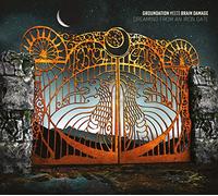 dreaming from an iron gate