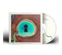 Dreaming In Dystopia