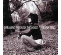 Dreaming Through the Noise