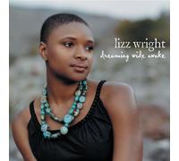 Dreaming Wide Awake by Wright, Lizz