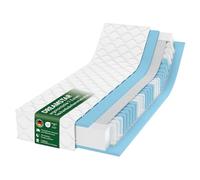 DREAMSTAR Ergo Flex XXL Duo Materasso a molle insacchettate 100 x 200 cm | Materasso ergonomico a 7 zone | Certificato Oeko-TEX | H2 (0-80 kg) & H3 (80-100 kg) | ipoallergenico e antibatterico | 22 cm