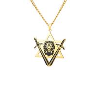 Dreamtimes Collana con stella di David per uomo e donna Collana con pendente leone con spade della vittoria Gioielli ebraici (Oro)