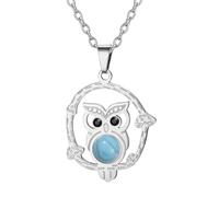 Dreamtimes Elegante collana con ciondolo di gufo per le donne Collana di gufo della saggezza in acciaio inox Collana di ciondolo animale Gioielli (Argento)