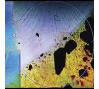 Dreamtx Living in Memory of Something Sweet (Vinyl LP)