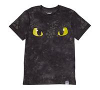 Dreamworks by Loungefly Tee T-Shirt Unisex How to Train your Dragon Size M
