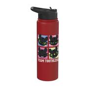 DreamWorks Dragons Team Toothless Expressions Stainless Steel Insulated Water Bottle