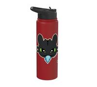 DreamWorks Dragons Toothless Blue Flame Stainless Steel Insulated Water Bottle
