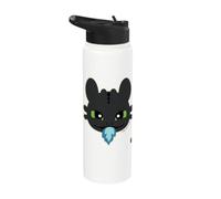 DreamWorks Dragons Toothless Blue Flame Stainless Steel Insulated Water Bottle