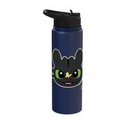 DreamWorks Dragons Toothless Butterfly Fun Stainless Steel Insulated Water Bottle