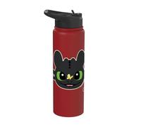 DreamWorks Dragons Toothless Butterfly Fun Stainless Steel Insulated Water Bottle