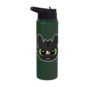 DreamWorks Dragons Toothless Butterfly Fun Stainless Steel Insulated Water Bottle