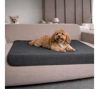 Dreamzie Coperta Impermeabile per Cani 80x100cm - Copridivano Impermeabile per Animali - Reversibile e Lavabile in Lavatrice in Pile Sherpa per Letto o Divano - Grigio scuro